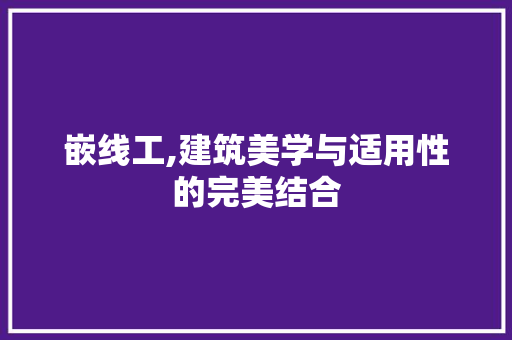 嵌线工,建筑美学与适用性的完美结合 建站教程