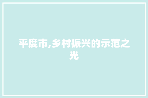 平度市,乡村振兴的示范之光