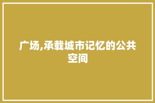 广场,承载城市记忆的公共空间 服务器/数据库