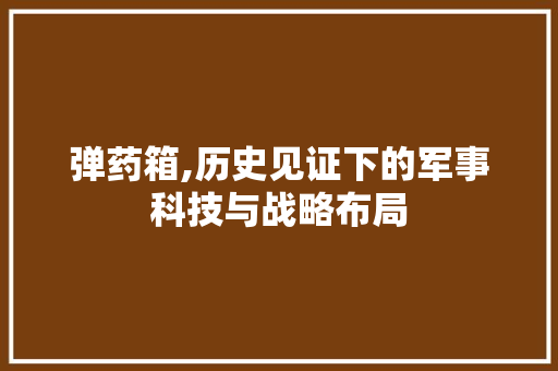 弹药箱,历史见证下的军事科技与战略布局 建站教程