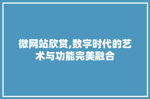 微网站欣赏,数字时代的艺术与功能完美融合 SEO教程