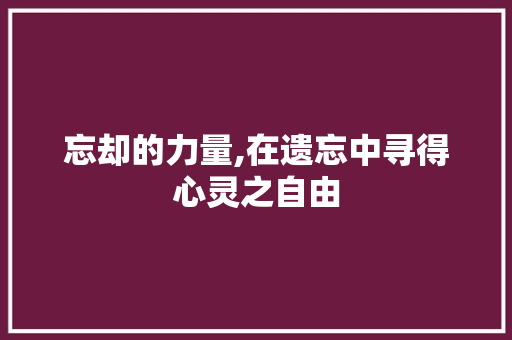 忘却的力量,在遗忘中寻得心灵之自由 WordPress教程