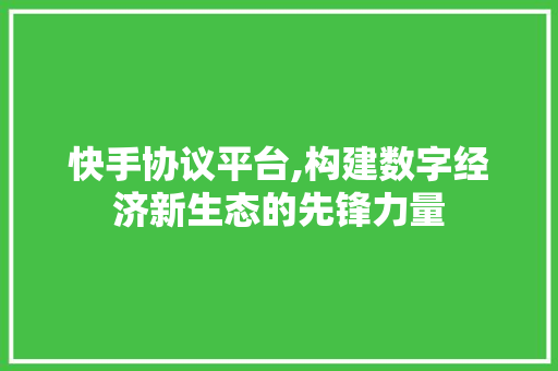快手协议平台,构建数字经济新生态的先锋力量 建站教程