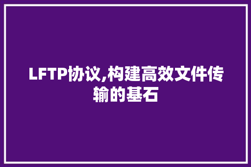 LFTP协议,构建高效文件传输的基石