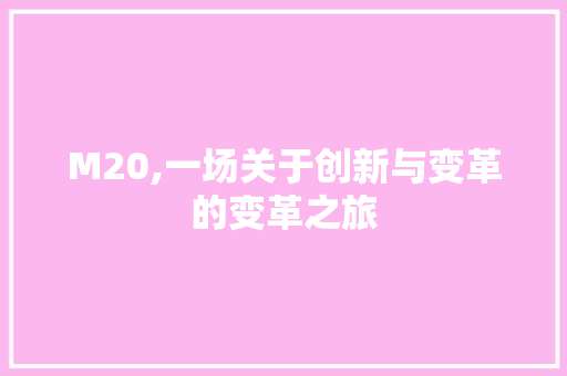 M20,一场关于创新与变革的变革之旅