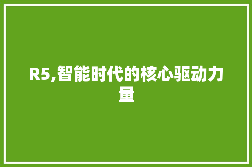 R5,智能时代的核心驱动力量