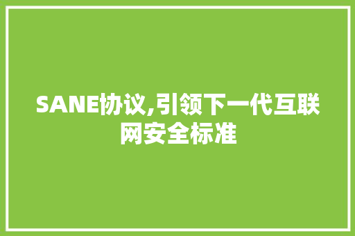 SANE协议,引领下一代互联网安全标准