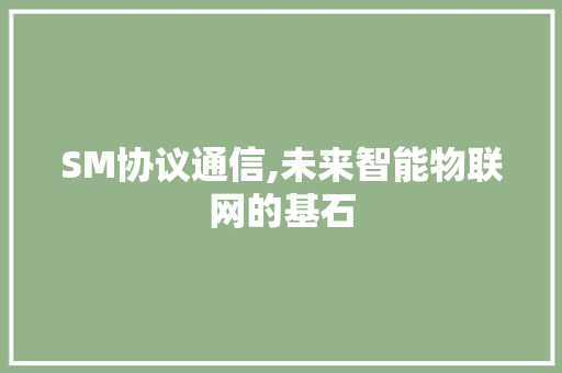 SM协议通信,未来智能物联网的基石