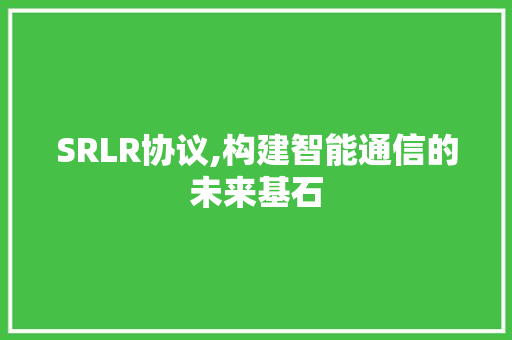 SRLR协议,构建智能通信的未来基石