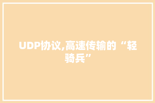 UDP协议,高速传输的“轻骑兵”