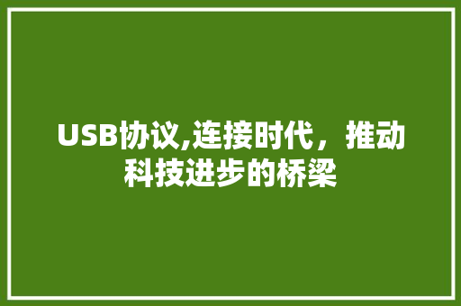USB协议,连接时代，推动科技进步的桥梁