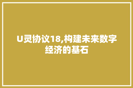 U灵协议18,构建未来数字经济的基石