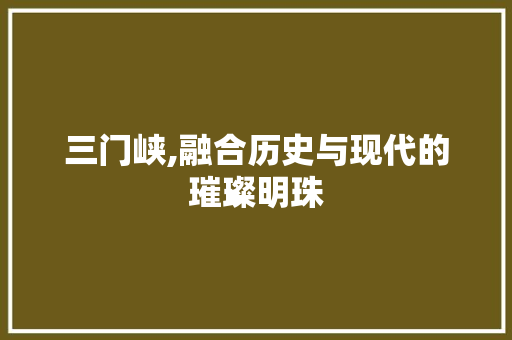 三门峡,融合历史与现代的璀璨明珠