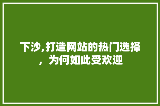 下沙,打造网站的热门选择，为何如此受欢迎 服务器/数据库