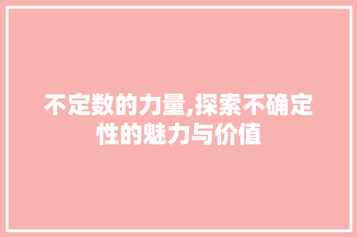 不定数的力量,探索不确定性的魅力与价值 服务器/数据库