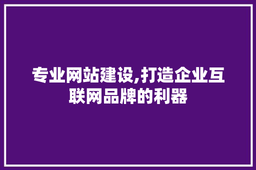 专业网站建设,打造企业互联网品牌的利器