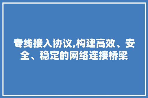 专线接入协议,构建高效、安全、稳定的网络连接桥梁