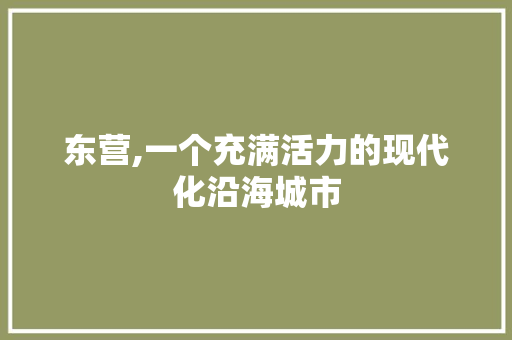 东营,一个充满活力的现代化沿海城市 建站教程