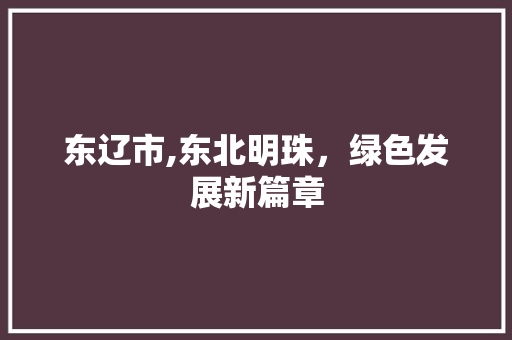 东辽市,东北明珠，绿色发展新篇章 建站教程