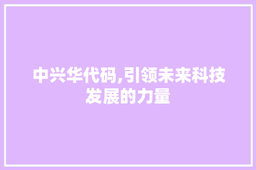 中兴华代码,引领未来科技发展的力量 建站教程