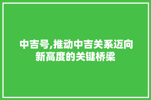 中吉号,推动中吉关系迈向新高度的关键桥梁 SEO教程