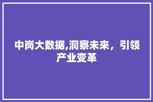 中岗大数据,洞察未来，引领产业变革