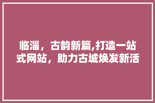 临淄，古韵新篇,打造一站式网站，助力古城焕发新活力 SEO教程