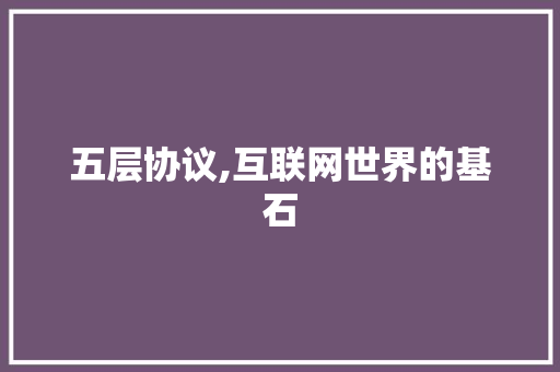 五层协议,互联网世界的基石