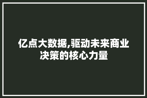 亿点大数据,驱动未来商业决策的核心力量 SEO教程