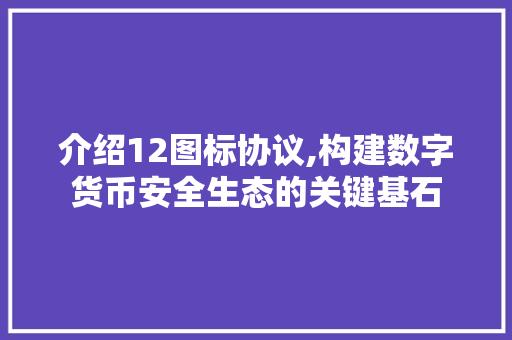 介绍12图标协议,构建数字货币安全生态的关键基石
