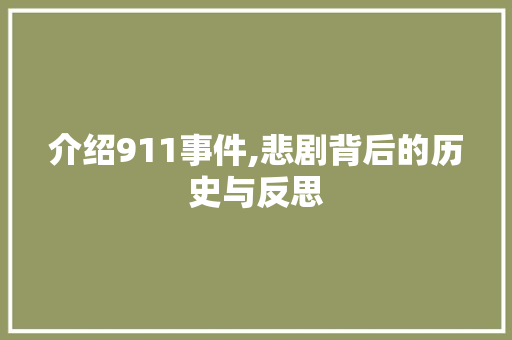 介绍911事件,悲剧背后的历史与反思 SEO教程