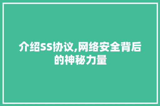 介绍SS协议,网络安全背后的神秘力量 WordPress教程