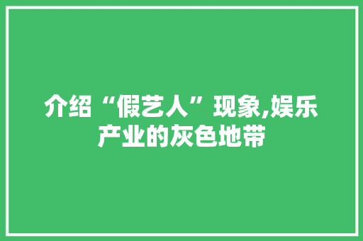 介绍“假艺人”现象,娱乐产业的灰色地带 WordPress教程