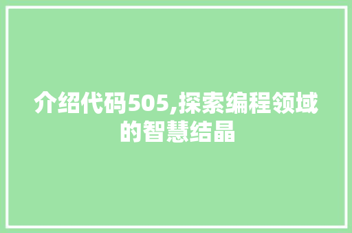 介绍代码505,探索编程领域的智慧结晶