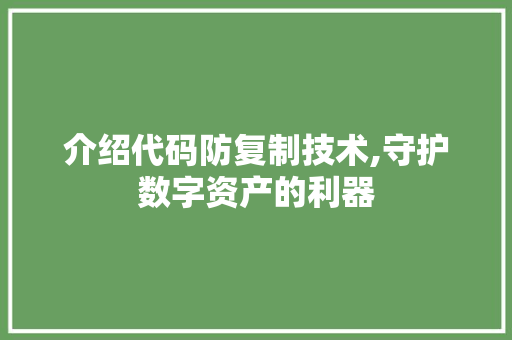 介绍代码防复制技术,守护数字资产的利器