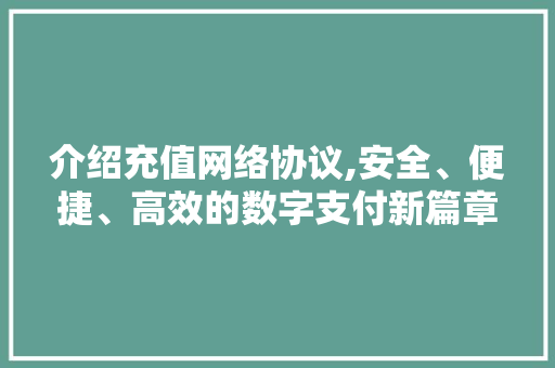 介绍充值网络协议,安全、便捷、高效的数字支付新篇章