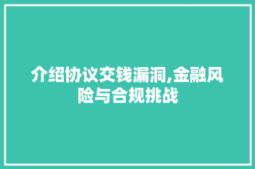 介绍协议交钱漏洞,金融风险与合规挑战