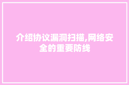 介绍协议漏洞扫描,网络安全的重要防线