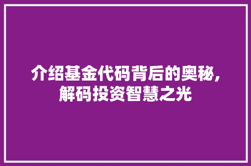 介绍基金代码背后的奥秘,解码投资智慧之光