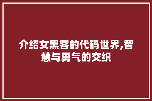 介绍女黑客的代码世界,智慧与勇气的交织 WordPress教程