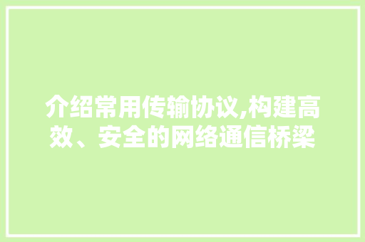 介绍常用传输协议,构建高效、安全的网络通信桥梁