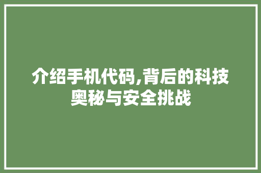介绍手机代码,背后的科技奥秘与安全挑战 友链在线