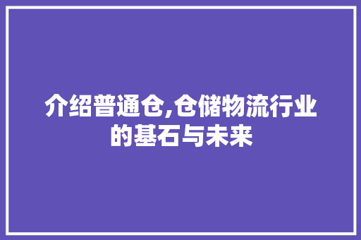 介绍普通仓,仓储物流行业的基石与未来 友链在线