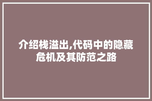 介绍栈溢出,代码中的隐藏危机及其防范之路 Web前端