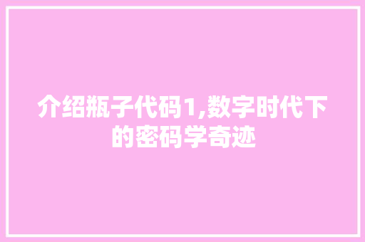 介绍瓶子代码1,数字时代下的密码学奇迹