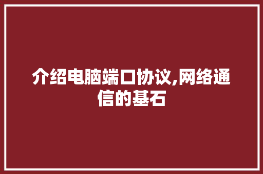 介绍电脑端口协议,网络通信的基石