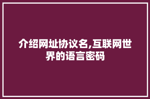 介绍网址协议名,互联网世界的语言密码