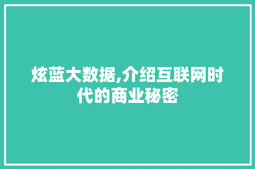 炫蓝大数据,介绍互联网时代的商业秘密