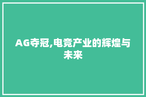 AG夺冠,电竞产业的辉煌与未来