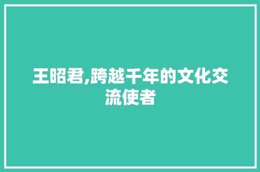 王昭君,跨越千年的文化交流使者
